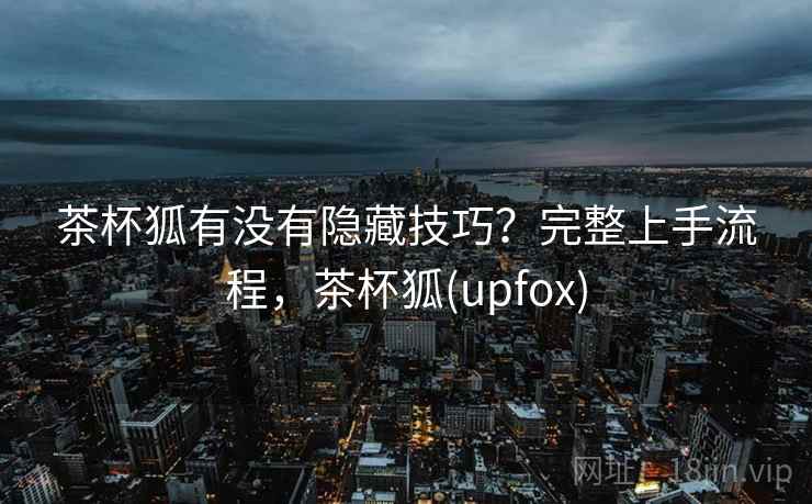 茶杯狐有没有隐藏技巧？完整上手流程，茶杯狐(upfox)