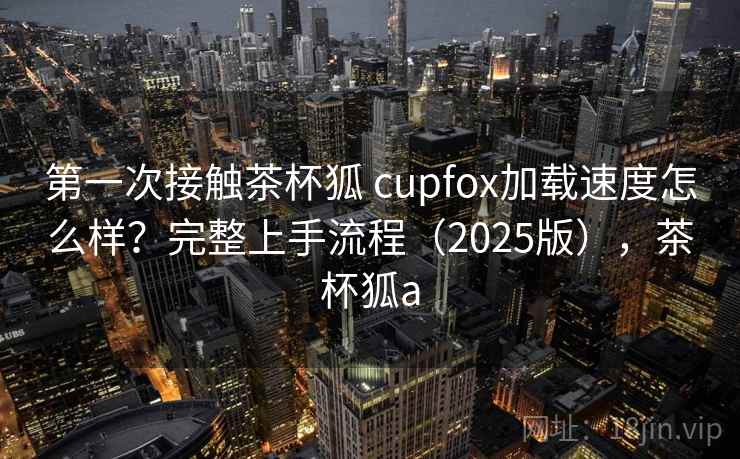 第一次接触茶杯狐 cupfox加载速度怎么样？完整上手流程（2025版），茶杯狐a