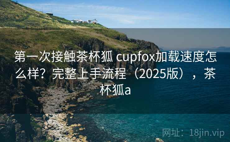 第一次接触茶杯狐 cupfox加载速度怎么样？完整上手流程（2025版），茶杯狐a