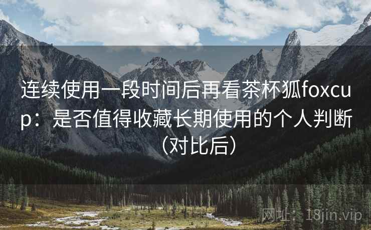 连续使用一段时间后再看茶杯狐foxcup：是否值得收藏长期使用的个人判断（对比后）