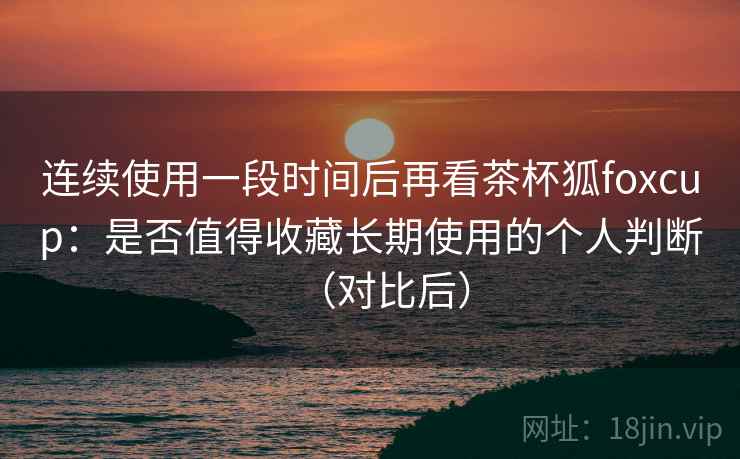连续使用一段时间后再看茶杯狐foxcup：是否值得收藏长期使用的个人判断（对比后）