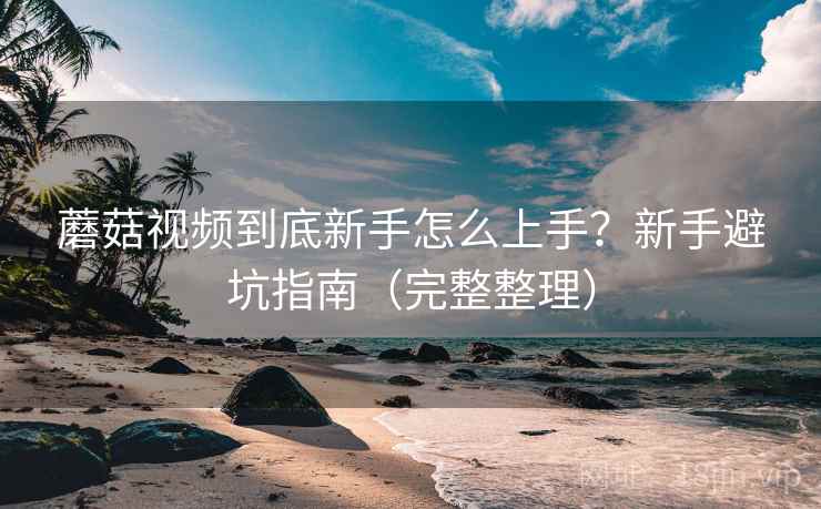 蘑菇视频到底新手怎么上手？新手避坑指南（完整整理）