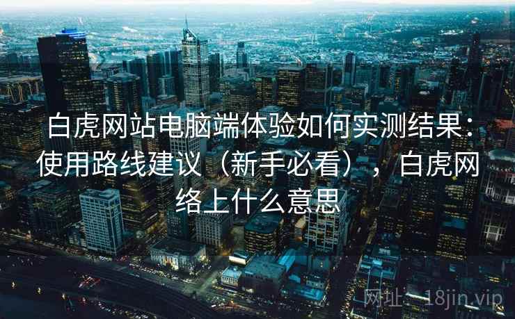 白虎网站电脑端体验如何实测结果：使用路线建议（新手必看），白虎网络上什么意思