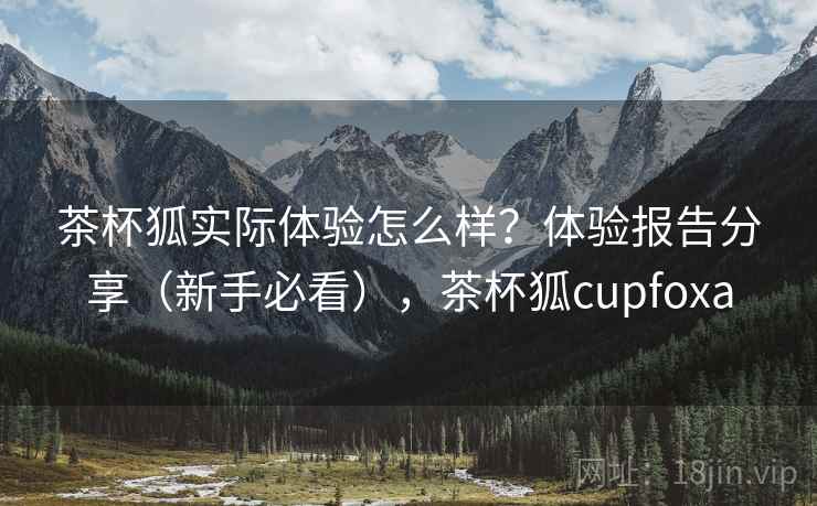 茶杯狐实际体验怎么样？体验报告分享（新手必看），茶杯狐cupfoxa