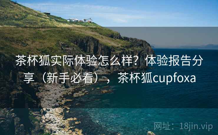 茶杯狐实际体验怎么样？体验报告分享（新手必看），茶杯狐cupfoxa